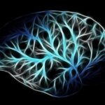 NEUROFEEDBACK: MEJORAR LA MEMORIA Y CONCENTRACIÓN