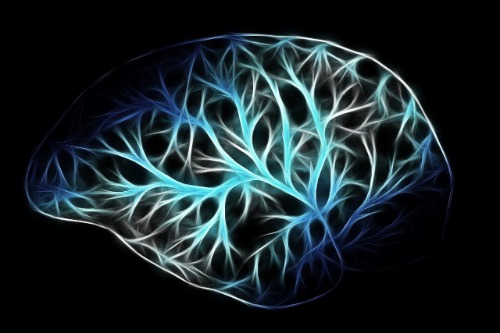 Aprende a reducir el TOC con el Neurofeedback