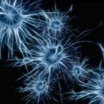 Cómo preparamos la mente para mejorar en el deporte: Neurofeedback a través de la psicología científica